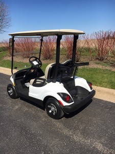 2012 electric pearl golf cart-Harris Golf Cars-Iowa, Illinois, Wisconsin, Nebraska