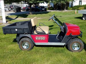 2008 EZGO Sport-Harris Golf Cars-Iowa, Illinois, Wisconsin, Nebraska