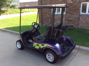 Custom Purple and Green-Harris Golf Cars-Iowa, Illinois, Wisconsin, Nebraska