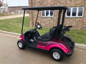 2012 Custom Pink Golf Car