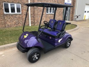 2010 Vikings Golf Car