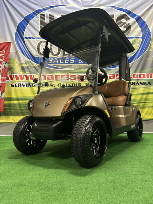 Custom Mica Matte Golf Car - Image 3