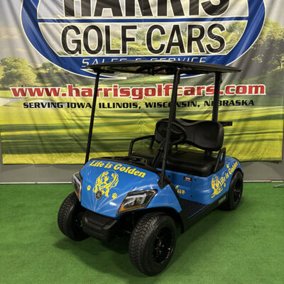 2018 Custom Golden Retriever Golf Car