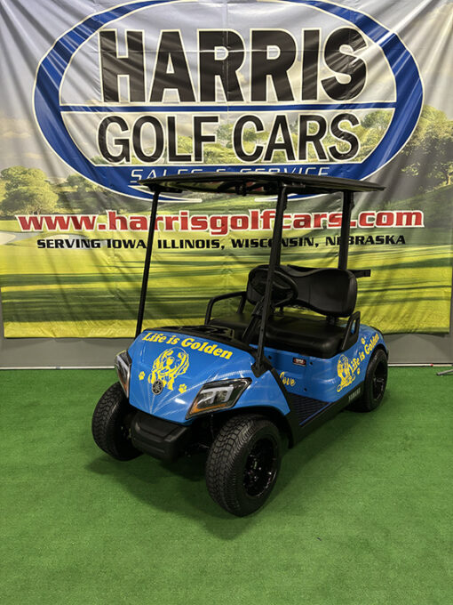 2018 Custom Golden Retriever Golf Car