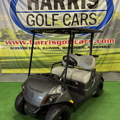 2024 Carbon Metallic Gas Golf Car