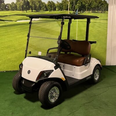 2024 Pearl Metallic Gas Golf Car